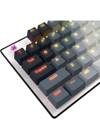 Клавиатура Azar 514 RGB EN/RU Gaming White (LRG-GK514W-UA) LORGAR (323094543)