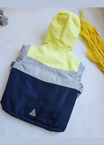 Лыжный костюм термо ❄️Комбинезон зимний детский❄️Горнолыжная одежда куртка и брюки Lupilu Куртка та штани (304766623)