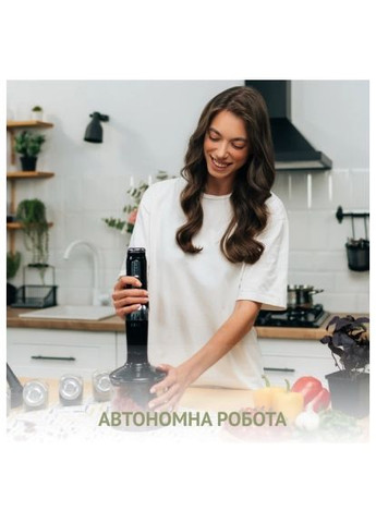 Блендер QUIN RHB-301 (366736144)