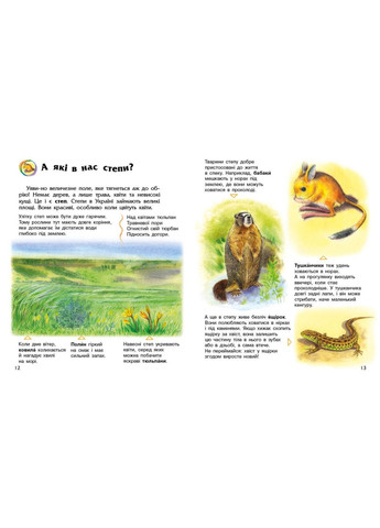 Енциклопедія дошкільника «Україна» – пізнавальна книга для дітей (9786170999948) РАНОК (372485921)