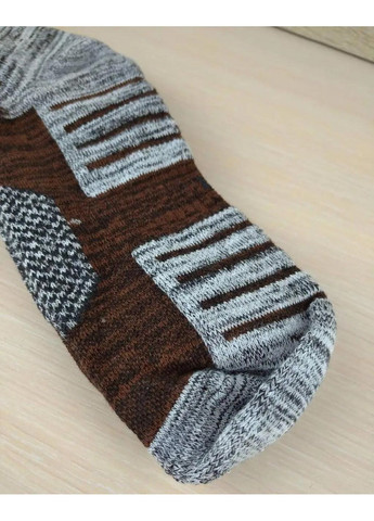 Термошкарпетки шкарпетки зі збереженням тепла швидким виведенням вологи для унісекс розмір M 39-42 (477032-Prob) Коричневі Unbranded (293814602)