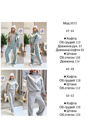 Костюм 3072двійка Полар Фліс щільний,худі на блискавці та штани прямого крою Україна (367915046)