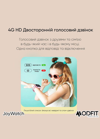 JoyWatch Gray Modfit (372944464)