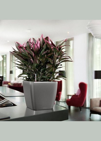 Розумний вазон Quadro Premium LS 28 8,5 л коричневий 16145 Lechuza (316618092)