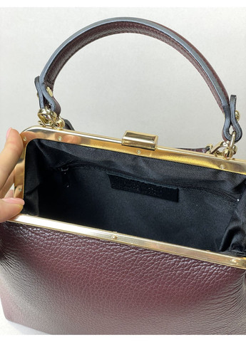 Женская сумка Италия классическая | кроссбоди через плечо и руку | сумочка с рамочкой, натуральная кожа Bella Bertucci Кросбоді (363115479)