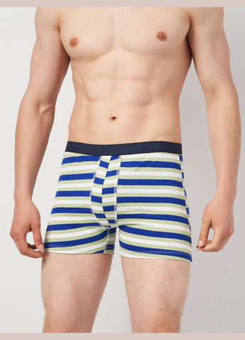 Трусы (3шт) Basic Collection (315007384)