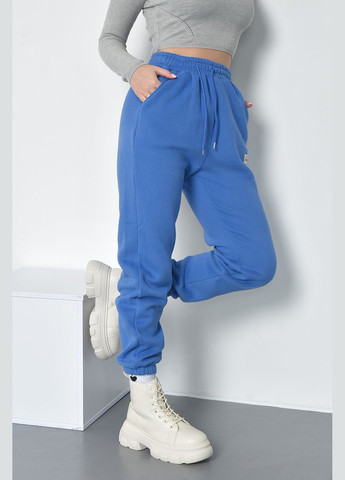 Спортивные штаны женские на флисе синего цвета Let's Shop (285739881)