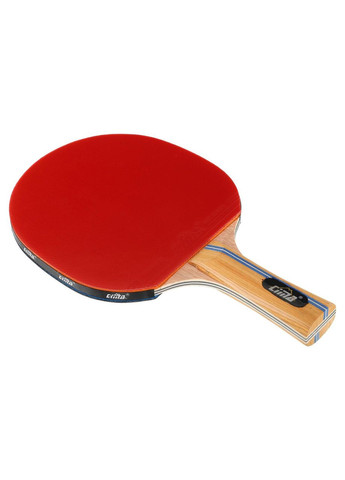 Ракетка для настільного тенісу в чохлі CM-C300 3star Cima (324220121)