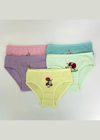 Трусики для девочек, хлопок — набор из 5 штук. Nicoletta Трусики (342119754)
