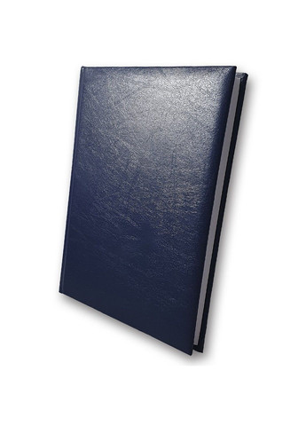 Ежедневник датированный А5 2026 год 176 листов Infolk Miradur 3В-55 синий линия BRISK (361970986)