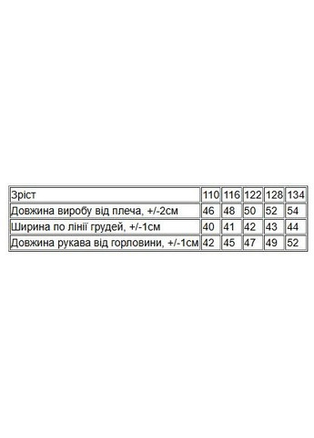 Худые для мальчика (с капюшоном) (p-12412) Носи своє (363043016)