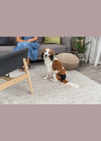 Гігієнічні труси S-M 32-39 см (чорні) Trixie (306721600)