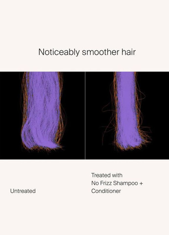 Шампунь No Frizz Shampoo 1000 мл (2462242967) Living Proof (324031768)