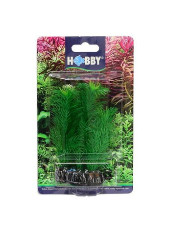 Искусственное растение Egeria 13 см Hobby (322711864)
