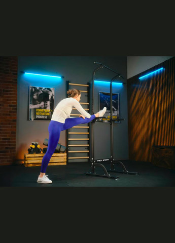 Силовая станция турник-брусья TX-060PR TREX Sport (323136259)
