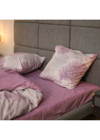 Постільна білизна сімейна Ранфорс 21158-S 210х143х2 см Viluta (327792020)