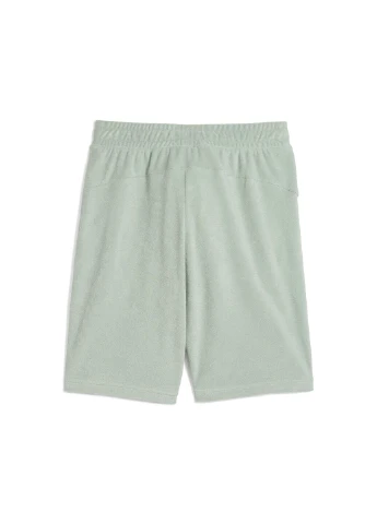 Шорти Toweling Cat Shorts Men Puma (351596520)