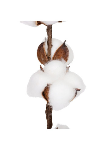 Искусственная ветвь "Хлопок", белая, 58 см ELISEY (322248832)