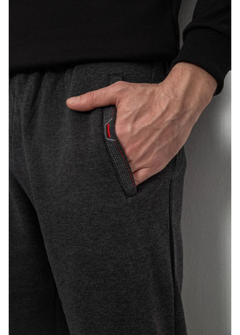 Серые спортивные демисезонные прямые брюки Ager