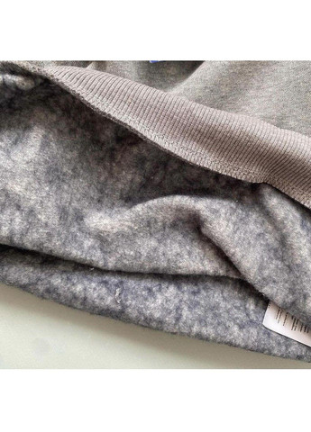 Lupilu свитшот кофта теплый детский на мальчика с аппликацией динозавр серый серый