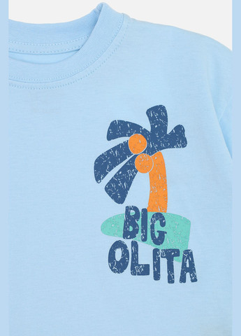 Блакитна літня футболка з коротким рукавом для хлопчика колір блакитний цб-00273336 Yuki