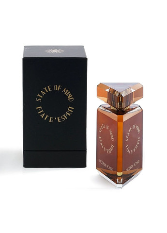 Modern Nomad 100 мл Парфюмированная вода State of Mind (366152813)