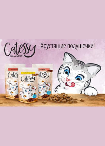 Ласощі для котів Snack With Salmon подушечки з лососем 65 г 519067 Catessy (266274603)