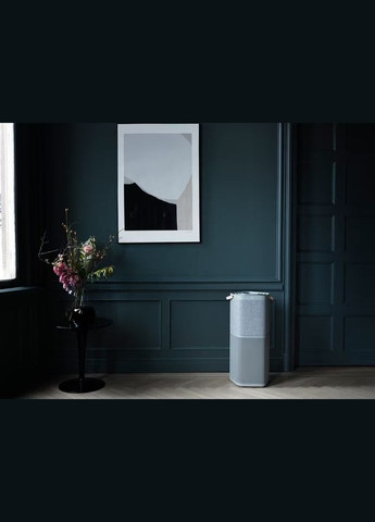 Очиститель воздуха PA91-404GY серый Electrolux (364756493)