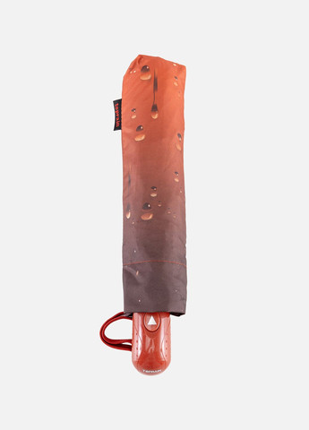Жіноча напівавтоматична парасолька колір помаранчевий ЦБ-00220319 No Brand (289843265)