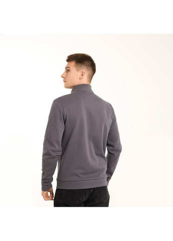 Чоловіча кофта демісезонна на блискавці сіра Freedom (365754691)