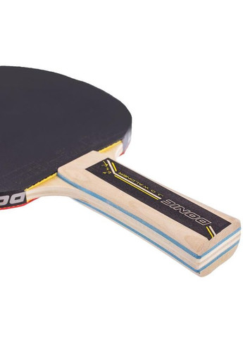 Ракетка для настольного тенниса WALDNER LEVEL 500 MT-723062 Donic (324220171)