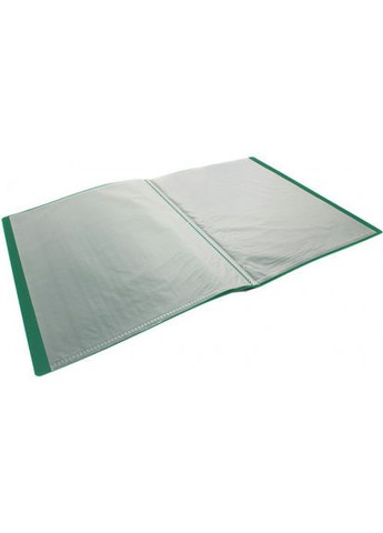 Папка з 10-ма файлами (6) (24) E30601-04 зелена ECONOMIX (322576994)