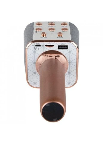Беспроводной bluetooth караоке микрофон с колонкой WS-1688 Розовое Золото No Brand (390784327)
