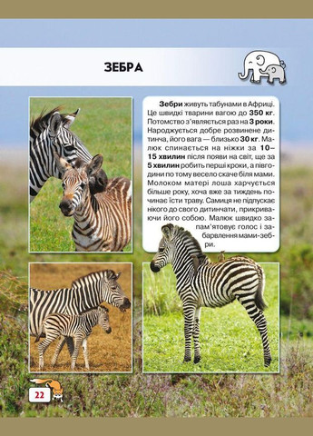 Мир вокруг нас. Малыши животных Кристал Бук (327879027)