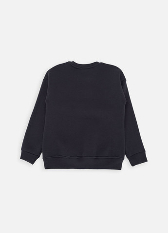 Wanex свитшот для мальчика цвет графитовый цб-00252757 графитовый футер