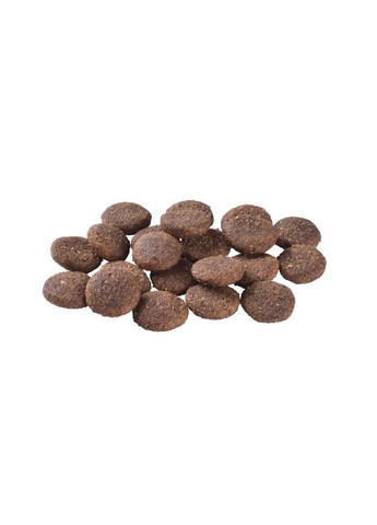 Сухий корм Hypoallergenic Adult Large Breed Lamb для дорослих собак великих порід з ягням 12кг Brit Care (298422942)