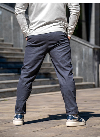 Серо-синие повседневный демисезонные чиносы брюки Teamv