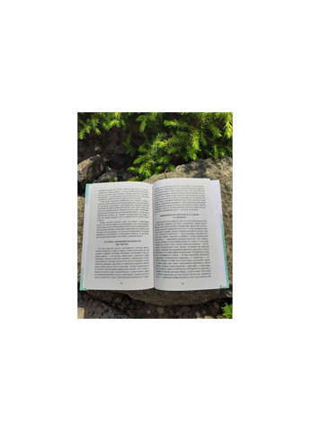 Таинство встречи. Владыка Венедикт (Алексейчук) Свічадо (354252993)