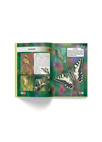 Мир вокруг нас. Насекомые Crystal Book (383371215)