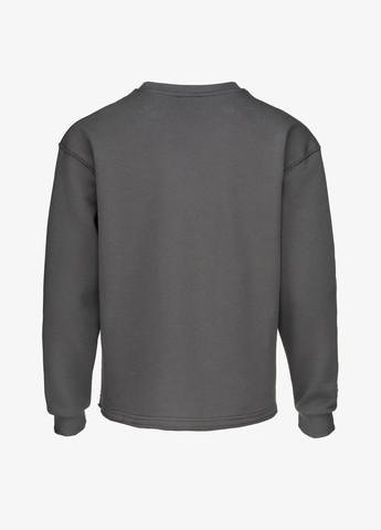 Темно-серый свитшот с принтом мужской -33 темно-серый shop (2000990785534) Demos (315976472)