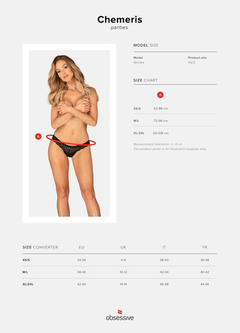 Трусики Chemeris panties Obsessive (297573752)