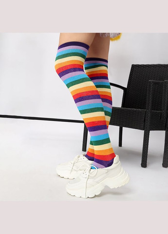 Чулки радуга фиолетовые колени трикотажные цветные 11390 No Brand (308977006)