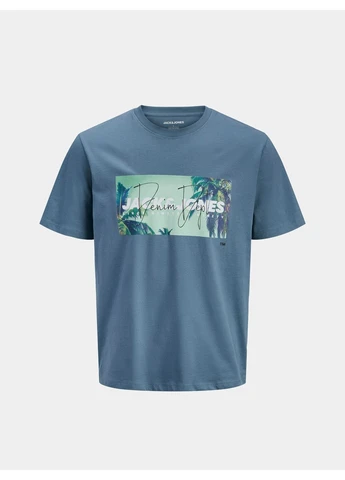 Сіро-синя футболка 11264543 jnj893 Jack & Jones