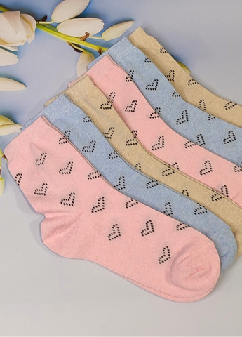 Комбіновані шкарпетки жіночі 6 пар ws 229/6 р.36-40 XTeam сердечка (351581672)