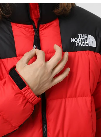 Красная зимняя пуховик 2090281 красный n6339 The North Face