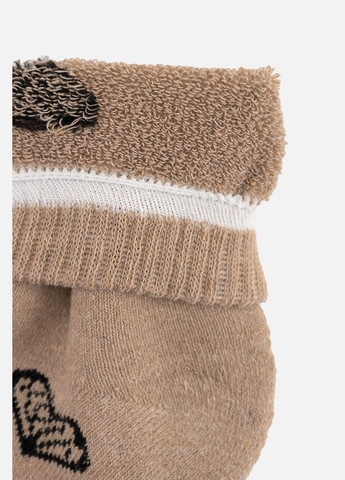 Бежеві жіночі шкарпетки колір бежевий cb-00263540 Yuki (314909886)