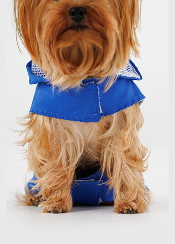 Дощовик для тварин KM52619 (2000990380562A) shop (2000990380562) KUMAOCHONGWUYONGPIN (363829772)