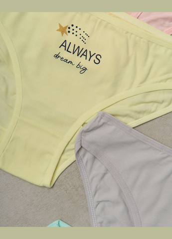 Жіночі пастельні трусики 5 шт. Nicoletta (322126829)