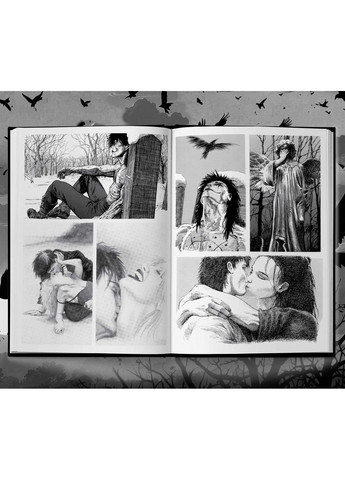 Ворон. Специальное издание / Джеймс О`Барр Manga Media (364861628)