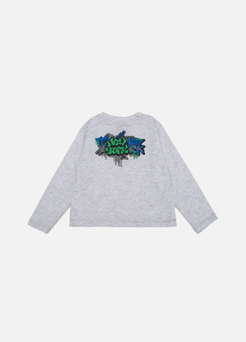 Светло-серый демисезонный лонгслив Ifba